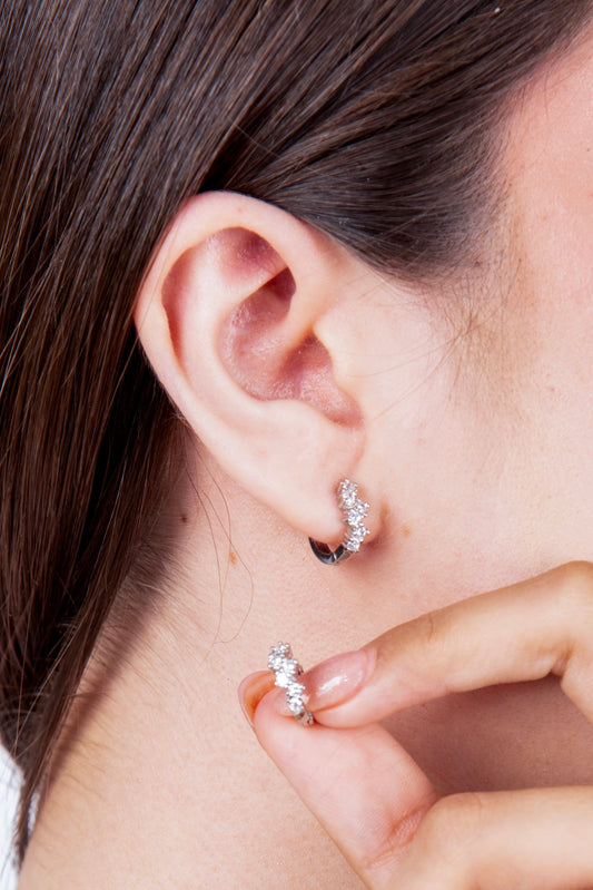 Aretes Alegría